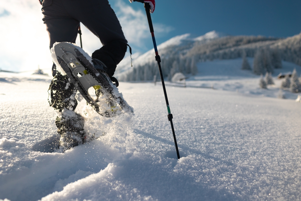 Snowshoeing In Glacier Park Area: Are Some Trails Harder Than Others?